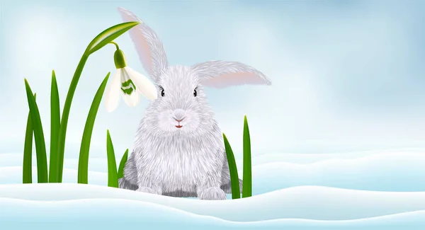 Söt Påsk Kanin Och Blommande Snödroppar Snö Bakgrund Vektor Illustration — Stock vektor