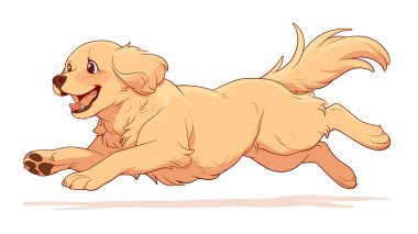 Bir Golden Retriever köpeğinin çizgi film çizimi. Dili dışarıda koşuyor. Köpeğin yüzünde mutlu bir ifade var ve adımlarının ortasında. Arkaplan basit bir beyaz renktir, resmin odak noktası köpeğe izin verir.