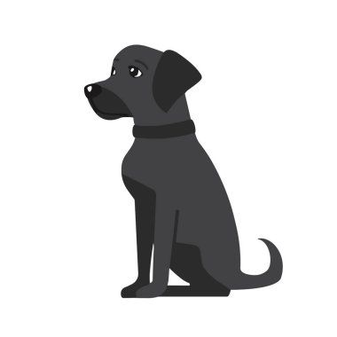 Vektör görüntüsü beyaz arka planda duran siyah bir Labrador av köpeğini gösteriyor. Köpek sola döndü ve başını hafifçe yukarı eğdi. Uzun bir kuyruğu var ve ayakları üzerinde duruyor.
