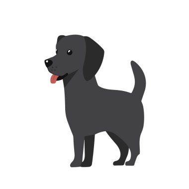 Bu vektör illüstrasyonunda, beyaz arka planda duran siyah bir Labrador av köpeği yavrusu. Küçük köpek başını hafifçe kaldırmış sola bakıyor..