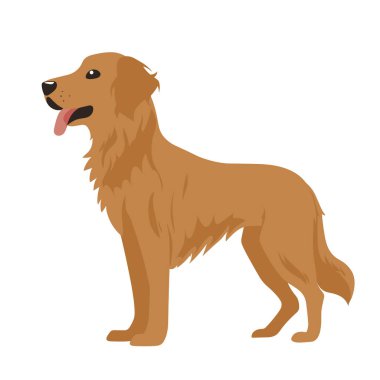 Bu illüstrasyon, altın kürkü ve dost canlısı ifadesini sergileyen altın av köpeğinin profil görünümünü tasvir ediyor..