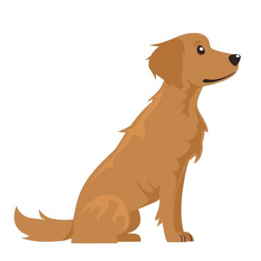 Golden Retriever köpeğinin beyaz bir arka planda oturup izlediği karikatür çizimi. Köpeğin dostane ve özenli bir ifadesi var..