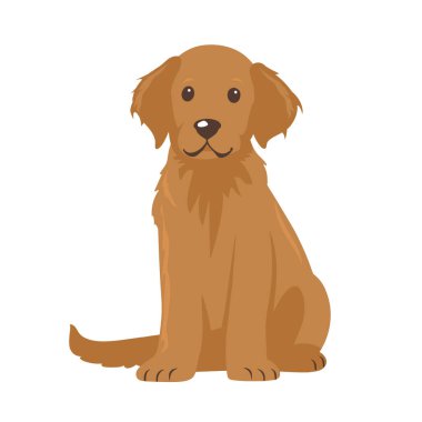 Bu görüntüde bir Golden Retriever köpeği ön pençelerini birleştirip doğrudan kameraya bakıyor. Kahverengi bir paltosu, kahverengi bir burnu ve büyük kahverengi gözleri vardır. Arkaplan beyaz.