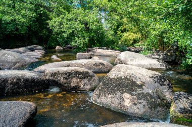 Fransa 'nın Brtttany kentindeki Pont-Aven köyündeki Aven nehri. Nehrin rotasında sayısız kaya var..