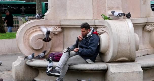 Barselona Spanya Aralık 2022 Adam Güvercinleri Besliyor Yeşil Keşiş Muhabbeti — Stok video
