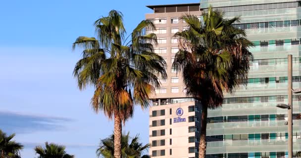Barcelona Spanyol Desember 2022 Sunset Two Palm Trees Building Hilton — Stok Video