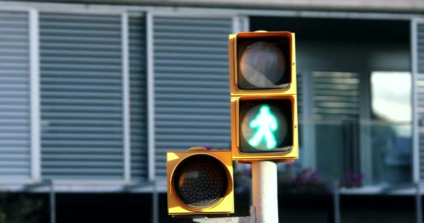 Пешеходный Знак Зеленого Человека Барселоне Каталония Испания Закрыть Вид Разрешение — стоковое видео