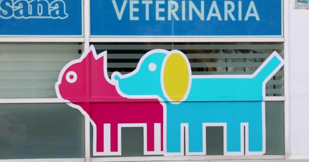 Barcelona Spanje December 2022 Kleurrijke Kat Hond Stickers Het Raam — Stockvideo