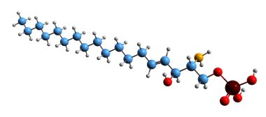  Sphingosine-1-fosfat iskelet formülünün 3 boyutlu görüntüsü - beyaz arkaplanda izole edilmiş sfengolipid sinyallerinin moleküler kimyasal yapısı