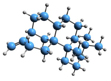  Stemodene iskelet formülünün 3 boyutlu görüntüsü - işçilere bağlı diterpenin moleküler kimyasal yapısı beyaz arka planda izole edilmiş