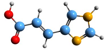  Urokanik asit iskelet formülünün 3 boyutlu görüntüsü - beyaz arka planda izole edilmiş L-histidin metabolitinin moleküler kimyasal yapısı