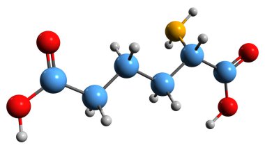  Aminoadipik asit iskelet formülünün 3 boyutlu görüntüsü - beyaz arkaplanda izole edilmiş metabolitin moleküler kimyasal yapısı