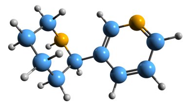 Anabasine iskelet formülünün 3 boyutlu görüntüsü - piridin ve piperidine alkaloidin moleküler kimyasal yapısı beyaz arka planda izole edildi