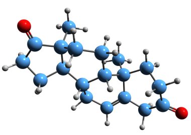  Androstenedione iskelet formülünün 3 boyutlu görüntüsü - beyaz arka planda izole edilmiş 17-Ketotestosteronun moleküler kimyasal yapısı
