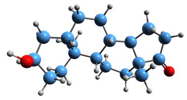 Androsterone iskelet formülünün 3 boyutlu görüntüsü - beyaz arkaplanda izole edilmiş endojen steroid hormonunun moleküler kimyasal yapısı