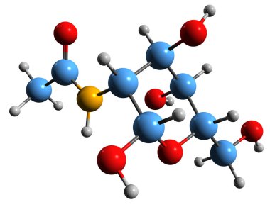 N-Asetilglukozamin iskelet formülünün 3 boyutlu görüntüsü - beyaz arkaplanda izole edilmiş monosakkarit glukozun moleküler kimyasal yapısı