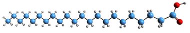  Behenik asit iskelet formülünün 3 boyutlu görüntüsü - beyaz arkaplanda izole edilmiş docosanoic asidin moleküler kimyasal yapısı