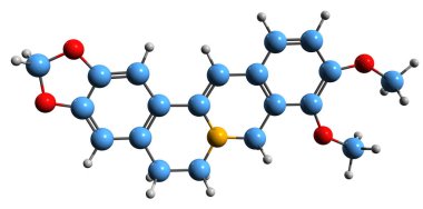 Berberin iskelet formülünün 3 boyutlu görüntüsü - beyaz arkaplanda izole edilmiş benzylisoquinoline alkaloidin moleküler kimyasal yapısı