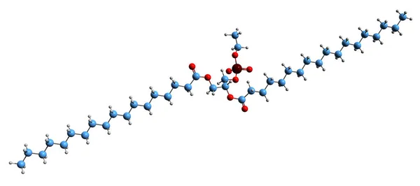 Зображення Скелетних Формул Фосфатидилетанолу Молекулярна Хімічна Структура Фосфоліпіду Ізольована Білому — стокове фото