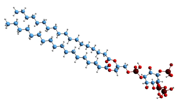 Foshatilinositol Trifosfat Iskelet Formülünün Boyutlu Görüntüsü Fosfolipid Pip3 Moleküler Kimyasal — Stok fotoğraf