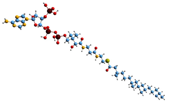 Phytanoyl Coa Iskelet Formülünün Boyutlu Görüntüsü Phytanoyl Coenzimin Moleküler Kimyasal — Stok fotoğraf