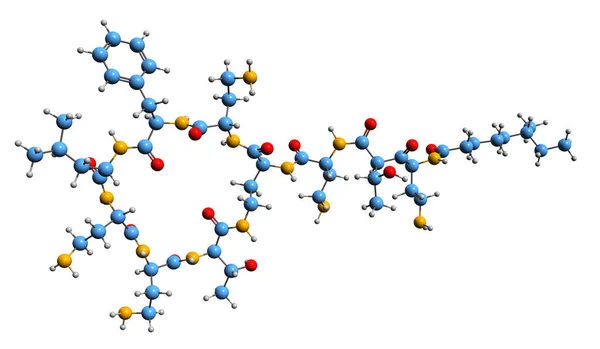 Изображение Скелетной Формулы Полимиксина Молекулярная Химическая Структура Антибиотиков Выделенных Белом — стоковое фото