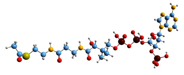 Imagem Fórmula Esquelética Propionyl Coa Estrutura Química Molecular Coenzima Derivada — Fotografia de Stock