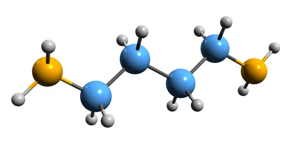 Image Putrescine Skeletal Formula Molecular Chemical Structure Organic Compound Isolated — Stock Photo, Image