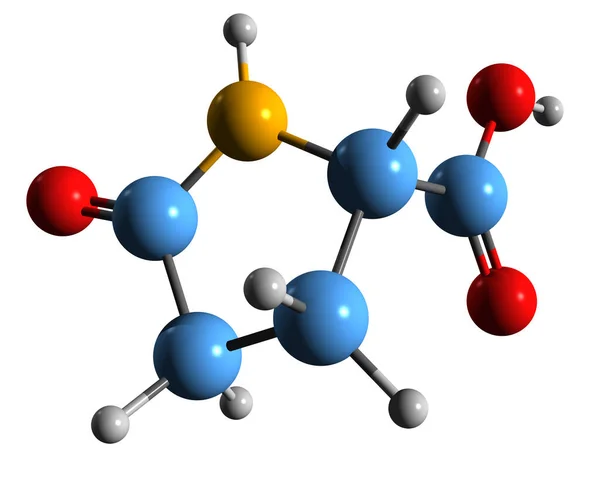 Aufnahme Der Pyroglutaminsäure Skelettformel Molekulare Chemische Struktur Von Oxopyrrolidin Carbonsäure — Stockfoto