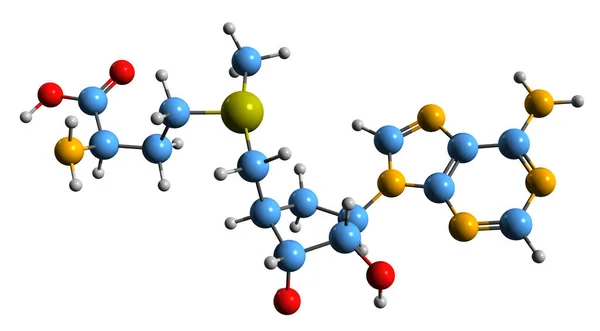 Adenosyl Metionine骨格式の3D画像 コ基板の分子化学構造白い背景に単離された同じ — ストック写真