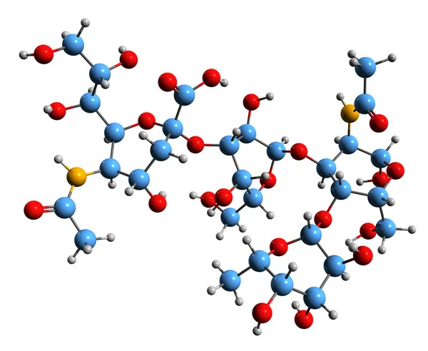 Obraz Sialyl Lewisa Formuła Szkieletowa Antygenu Węglowodanowego Molekularna Struktura Chemiczna — Zdjęcie stockowe