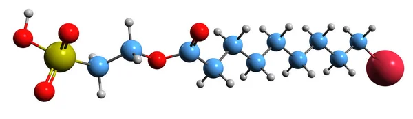 カプロリルイセチオン酸ナトリウム骨格式の3D画像 白地に硫酸ナトリウム2 Decanoyloxyethaneの分子化学構造 — ストック写真