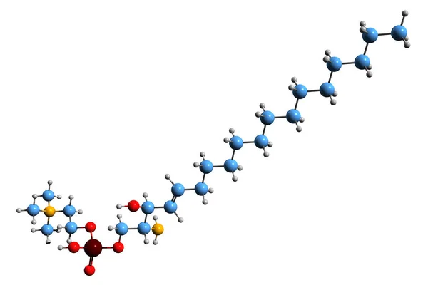 Sphingosylphylcholine骨格式の3D画像 白背景に単離されたSpcの分子化学構造 — ストック写真