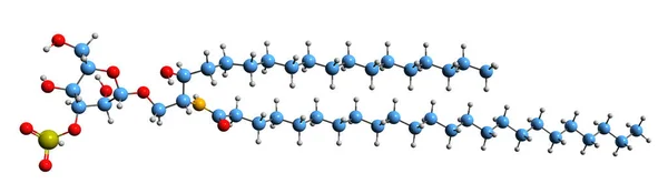 Зображення Скелетних Формул Сульфатиду Молекулярна Хімічна Структура Сульфогалактозилцераміду Ізольована Білому — стокове фото