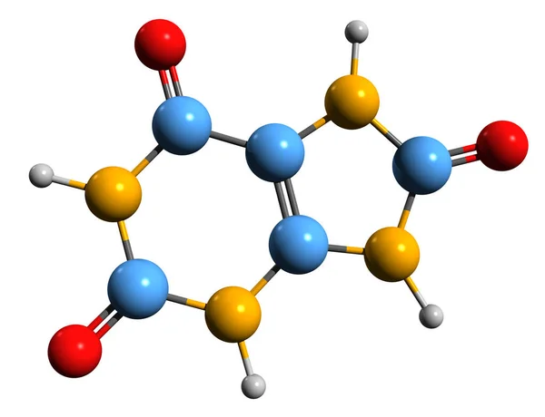 尿酸骨格式の3D画像 白地に分離された純ヌクレオチド代謝物の分子化学構造 — ストック写真