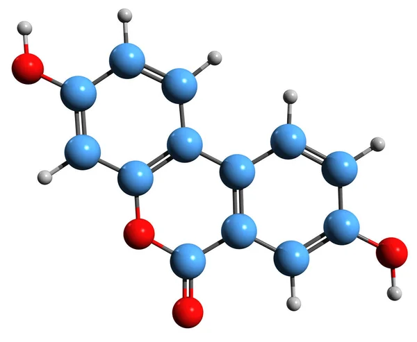 Image Urolithin Skeletal Formula Molecular Chemical Structure Ellagitannins Metabolite Isolated — Stock Photo, Image