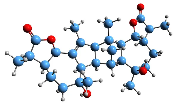 アブサン骨格式の3D画像 白地に分離されたトリテルペンラクトンの分子化学構造 — ストック写真
