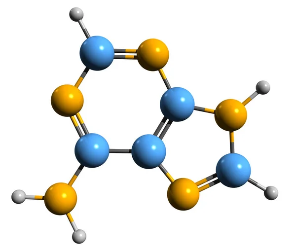 アデニン骨格式の3D画像 白地に単離された核酸塩基6 Aminopureの分子化学構造 — ストック写真
