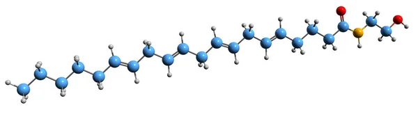 Anandamide Iskelet Formülünün Boyutlu Görüntüsü Arachidonoylethanolamine Moleküler Kimyasal Yapısı Beyaz — Stok fotoğraf