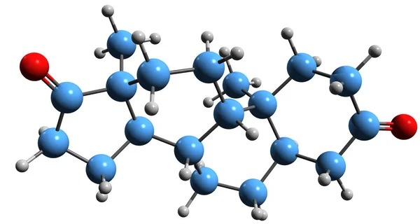 雄激素骨骼公式的三维图像 白底分离的17 Oxotestosterone分子结构 — 图库照片