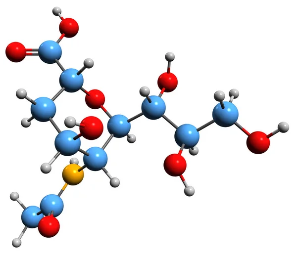 Aufnahme Der Acetylneuraminsäure Skelettformel Molekularchemische Struktur Der Vorherrschenden Sialinsäure Isoliert — Stockfoto