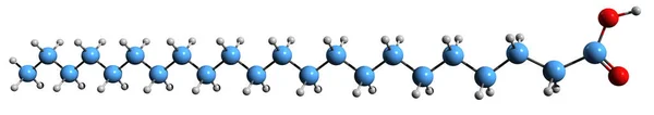 Imagen Fórmula Esquelética Del Ácido Behénico Estructura Química Molecular Del —  Fotos de Stock