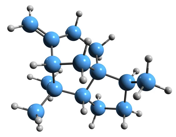 Зображення Бета Реберної Скелетної Формули Молекулярна Хімічна Структура Кункітерпена Цедра — стокове фото