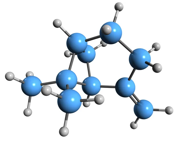 Aufnahme Der Beta Pinene Skelettformel Molekulare Chemische Struktur Des Monoterpens — Stockfoto