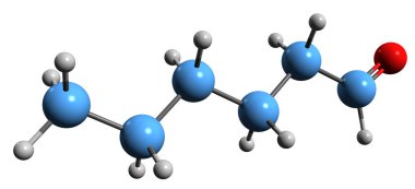 Hexanal iskelet formülünün 3 boyutlu resmi - beyaz arkaplanda izole edilmiş Caproic aldehit moleküler kimyasal yapısı