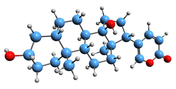 Aufnahme Der Bufadienolid Skelettformel Molekulare Chemische Struktur Der Glycosid Steroidverbindung — Stockfoto