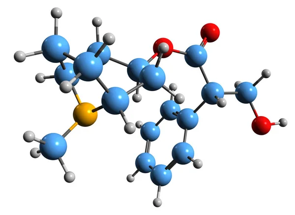 Beeld Van Hyoscyamine Skelet Formule Moleculaire Chemische Structuur Van Tropaan — Stockfoto