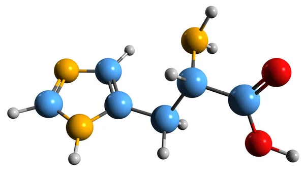Изображение Формулы Скелета Гистидина Молекулярная Химическая Структура Незаменимой Аминокислоты Выделенной — стоковое фото
