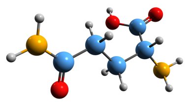 Glutamin iskelet formülünün 3 boyutlu görüntüsü - beyaz arkaplanda izole edilmiş amino asidin moleküler kimyasal yapısı