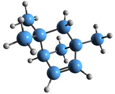  Delta-fenchen iskelet formülünün 3 boyutlu görüntüsü - beyaz arkaplanda izole edilmiş filtokimya moleküler kimyasal yapısı